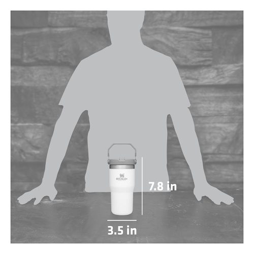 Measures 7.8"H x 3.5"W | Stanley IceFlow™ Flip Straw Tumbler 20oz